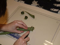 Workshop vilten